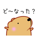 きゃぴばら【日常】（個別スタンプ：8）