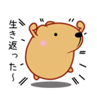 きゃぴばら【日常】（個別スタンプ：16）