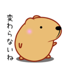 きゃぴばら【日常】（個別スタンプ：20）