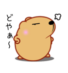 きゃぴばら【日常】（個別スタンプ：31）