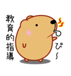 きゃぴばら【日常】（個別スタンプ：32）
