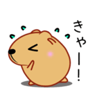 きゃぴばら【日常】（個別スタンプ：33）