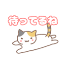 ねこの住み家デイリー使いバージョン（個別スタンプ：4）
