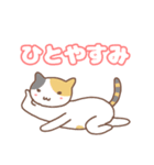 ねこの住み家デイリー使いバージョン（個別スタンプ：5）