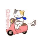 ねこの住み家デイリー使いバージョン（個別スタンプ：11）