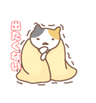 ねこの住み家デイリー使いバージョン（個別スタンプ：13）