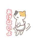 ねこの住み家デイリー使いバージョン（個別スタンプ：15）