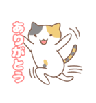ねこの住み家デイリー使いバージョン（個別スタンプ：20）