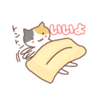 ねこの住み家デイリー使いバージョン（個別スタンプ：22）