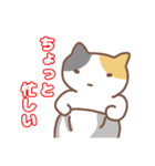ねこの住み家デイリー使いバージョン（個別スタンプ：24）