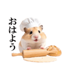 毎日使える♪リアルなハムちゃん（個別スタンプ：1）