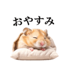 毎日使える♪リアルなハムちゃん（個別スタンプ：2）
