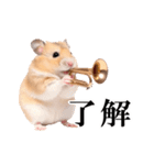 毎日使える♪リアルなハムちゃん（個別スタンプ：3）