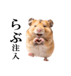 毎日使える♪リアルなハムちゃん（個別スタンプ：6）