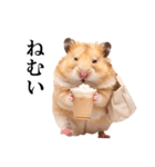 毎日使える♪リアルなハムちゃん（個別スタンプ：11）