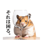 毎日使える♪リアルなハムちゃん（個別スタンプ：12）