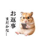 毎日使える♪リアルなハムちゃん（個別スタンプ：13）