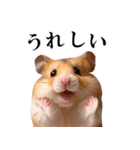 毎日使える♪リアルなハムちゃん（個別スタンプ：14）