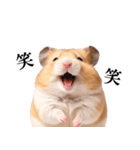 毎日使える♪リアルなハムちゃん（個別スタンプ：23）