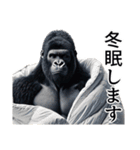【冬】イケメンゴリラ（個別スタンプ：24）