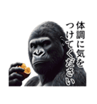 【冬】イケメンゴリラ（個別スタンプ：31）