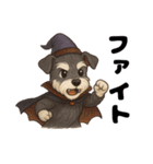 ハロウィンを楽しむシュナウザーの日常共感（個別スタンプ：1）
