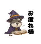 ハロウィンを楽しむシュナウザーの日常共感（個別スタンプ：2）