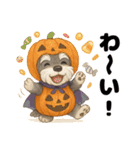 ハロウィンを楽しむシュナウザーの日常共感（個別スタンプ：6）