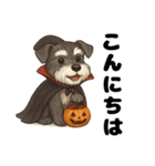 ハロウィンを楽しむシュナウザーの日常共感（個別スタンプ：10）