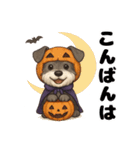 ハロウィンを楽しむシュナウザーの日常共感（個別スタンプ：11）