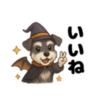ハロウィンを楽しむシュナウザーの日常共感（個別スタンプ：14）