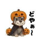 ハロウィンを楽しむシュナウザーの日常共感（個別スタンプ：17）