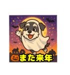 ハロウィンを楽しむシュナウザーの日常共感（個別スタンプ：38）