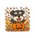 ハロウィンを楽しむシュナウザーの日常共感（個別スタンプ：39）