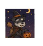 ハロウィンを楽しむシュナウザーの日常共感（個別スタンプ：40）