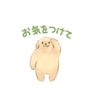 二足歩行のゴールデンレトリバー（個別スタンプ：5）