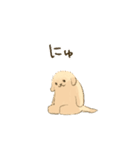 二足歩行のゴールデンレトリバー（個別スタンプ：27）