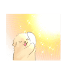 二足歩行のゴールデンレトリバー（個別スタンプ：32）