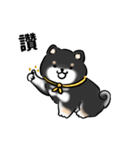 しばまるまる-くろしばのにちじょう（個別スタンプ：1）