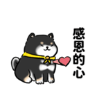 しばまるまる-くろしばのにちじょう（個別スタンプ：2）