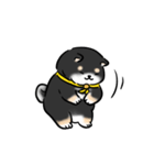 しばまるまる-くろしばのにちじょう（個別スタンプ：3）