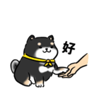 しばまるまる-くろしばのにちじょう（個別スタンプ：4）