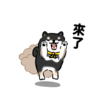しばまるまる-くろしばのにちじょう（個別スタンプ：6）