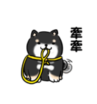 しばまるまる-くろしばのにちじょう（個別スタンプ：11）