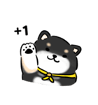 しばまるまる-くろしばのにちじょう（個別スタンプ：16）