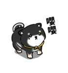しばまるまる-くろしばのにちじょう（個別スタンプ：21）