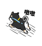 しばまるまる-くろしばのにちじょう（個別スタンプ：24）
