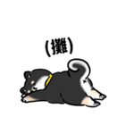 しばまるまる-くろしばのにちじょう（個別スタンプ：32）