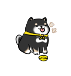 しばまるまる-くろしばのにちじょう（個別スタンプ：38）