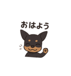 ミニピンアニメ（個別スタンプ：1）